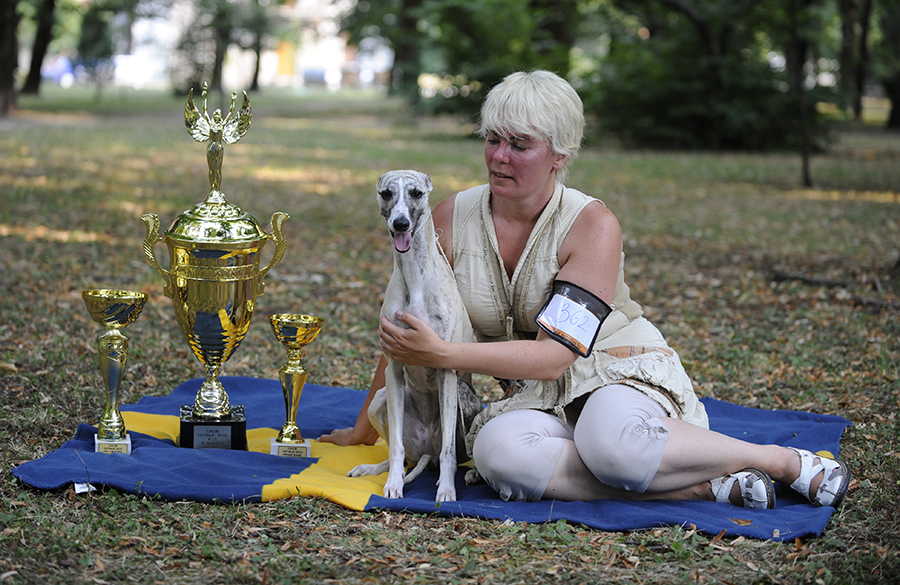 Judge Miodrag Vretenicic, Montenegro Grace was BOB with CAC and CACIB, BIG and finally BEST IN SHOW 3!!