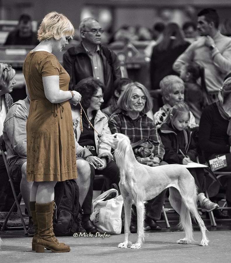 Saga and me at Crufts