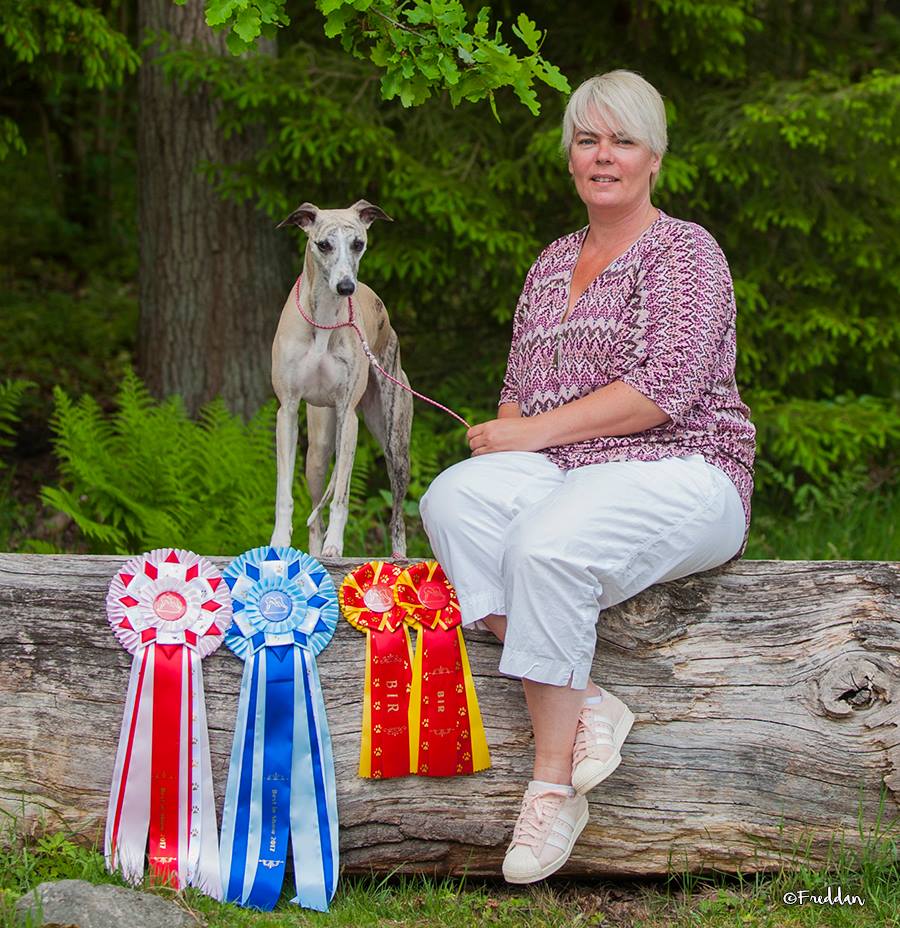 Sighthound Club Show in Vejen