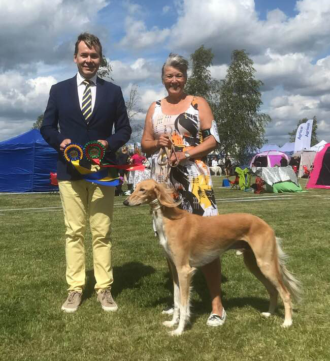 Elliot (Emoticon Cold As Ice) gained his last CAC for the Swedish champion title under judge Jussi Liimatainen, Finland.